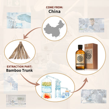 Bamboo Essential Oil AKARZ Natural And Pure ( 30ML 100ML )